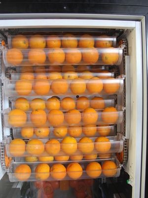 De automatische Commerciële Automaat van het Vers Fruitjus d'orange Met Nfc, Met geringe geluidssterkte